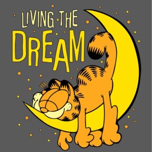 Dream, garfield
