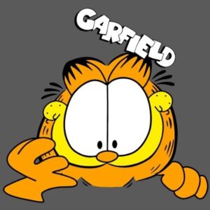Garfield, cara