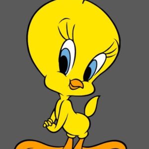 Piolin