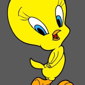 Piolin de lado