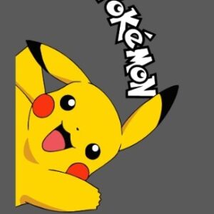 Pokemon, pukachu