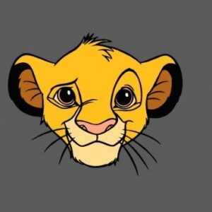 Simba, cara