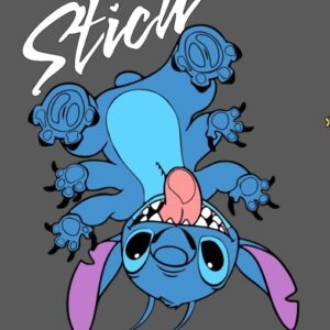Stitch de cabeza