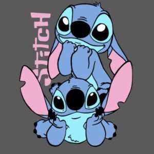 Stitch doble