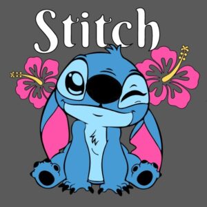 Stitch guiño