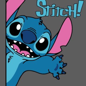Stitch medio cuerpo