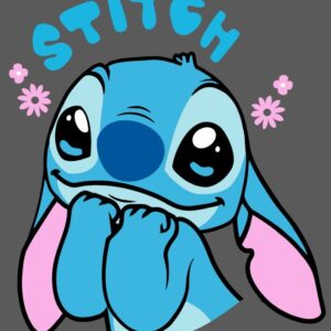 Stitch sonriente