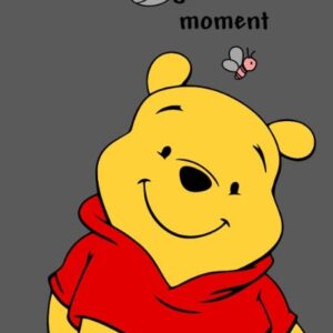 Winnie the Pooh, Enjo ever moment